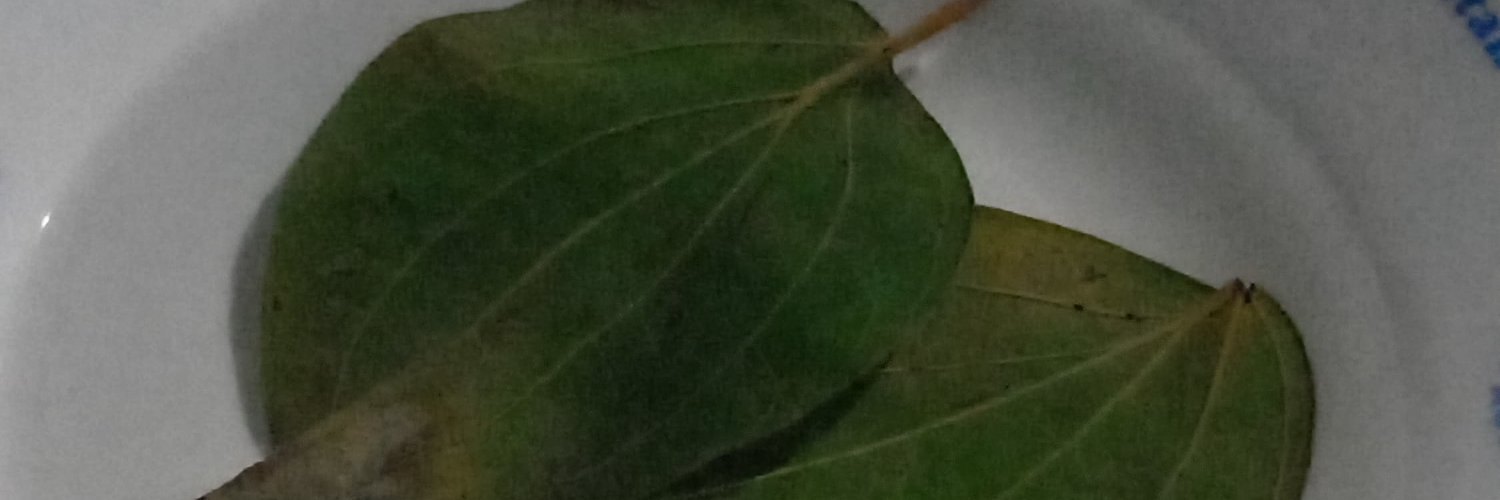 jojo19726's profile banner image