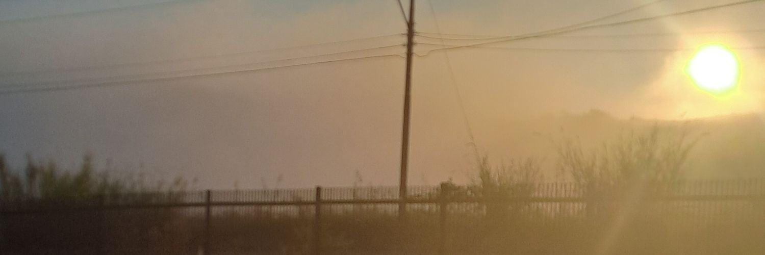 lingerortiz's profile banner image