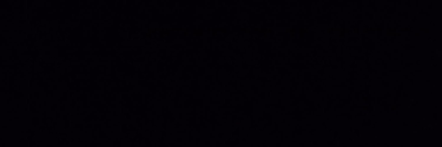 AoPl__'s profile banner image