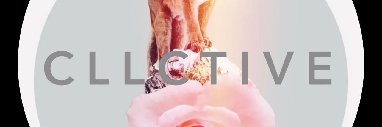 cllctive's profile banner image