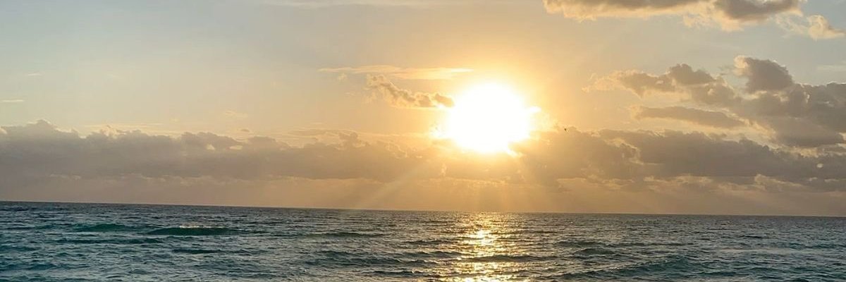 vv_kitten's profile banner image
