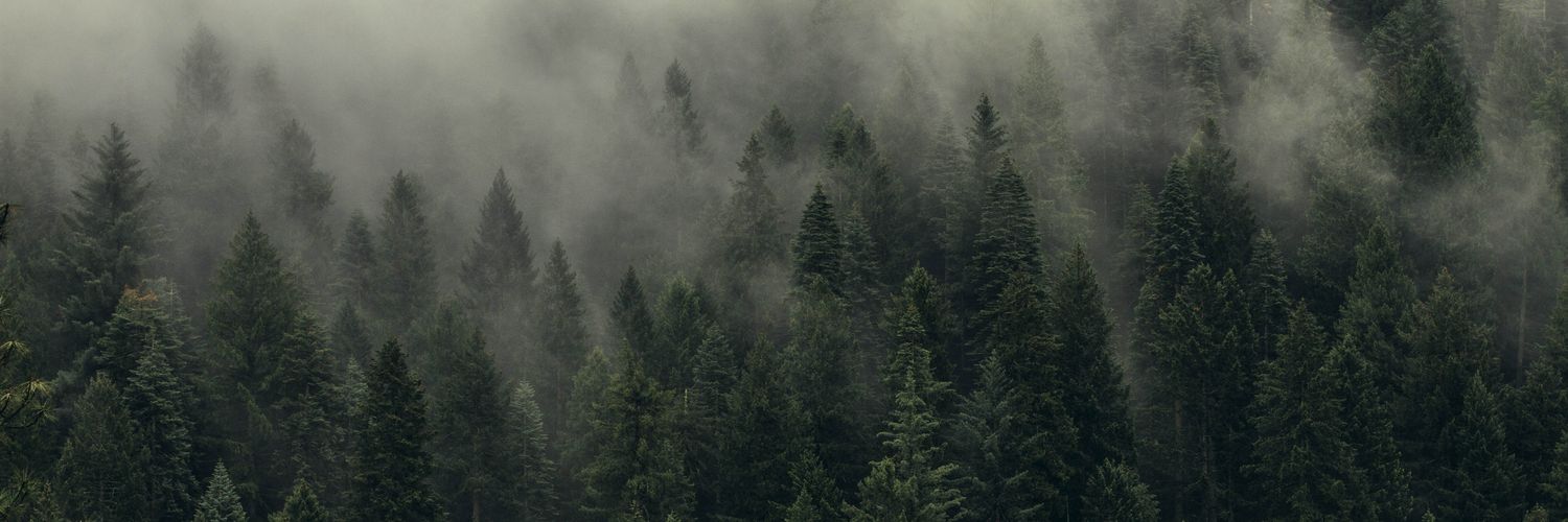 Aaronburgos_'s profile banner image