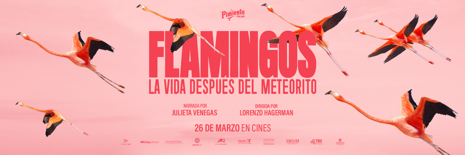 Pimienta Films banner