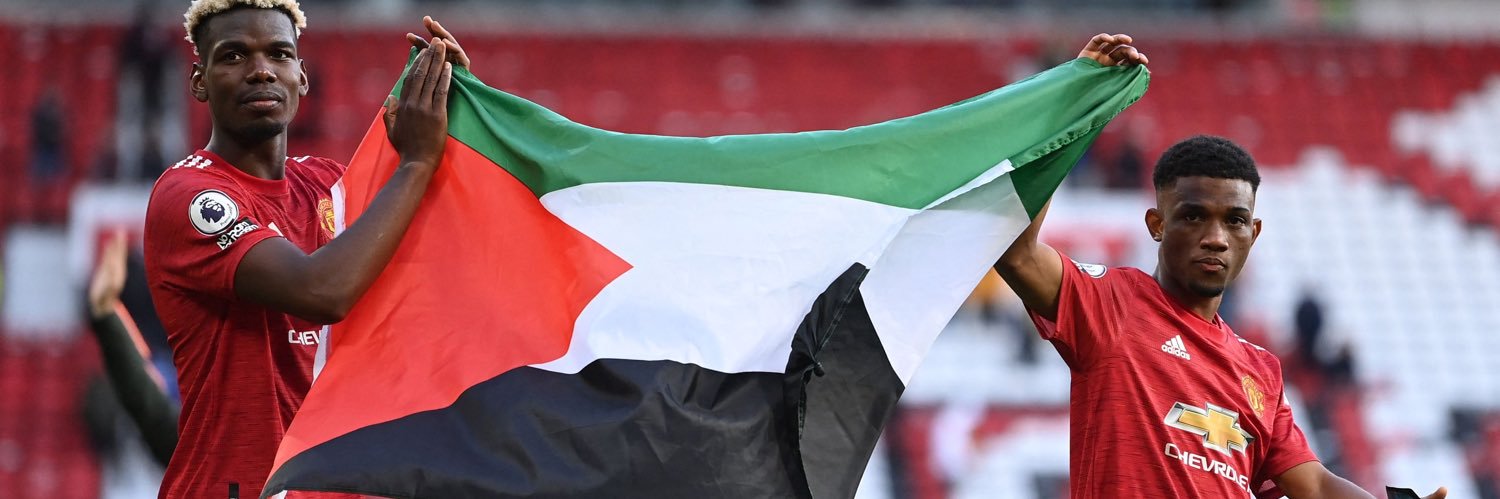 🇵🇸 banner