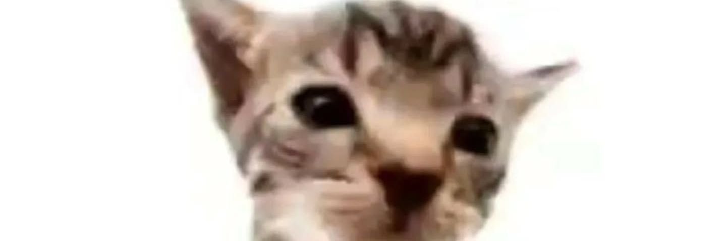juicyslaydivax's profile banner image