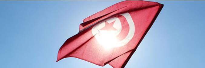 riadh rjibi banner