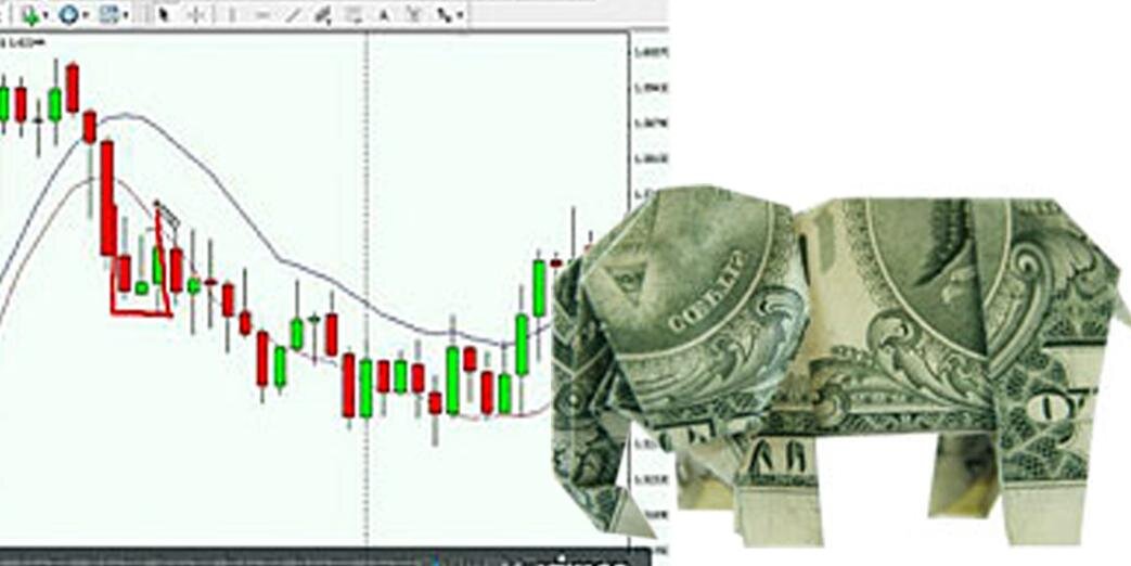 FOREX_Trening's profile banner image