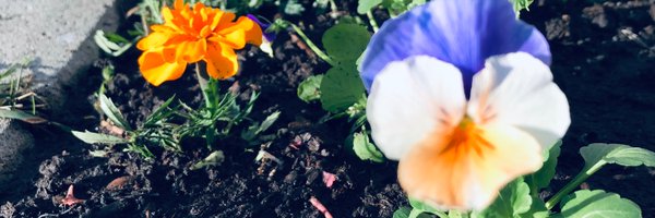 dmichelej Profile Banner