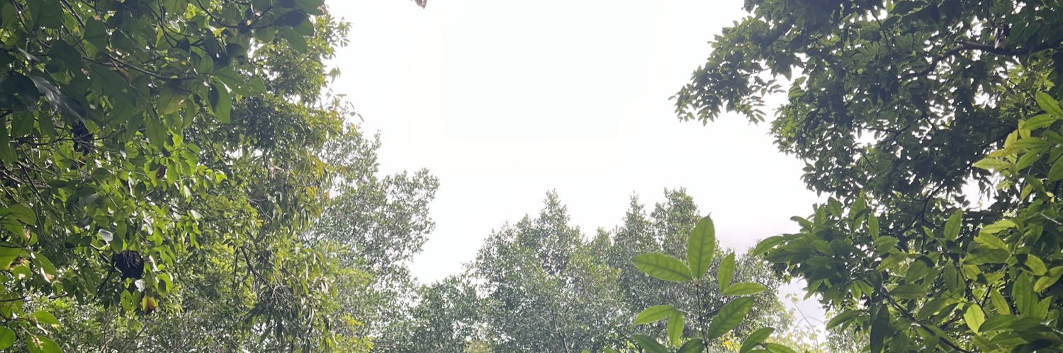 damarocru's profile banner image