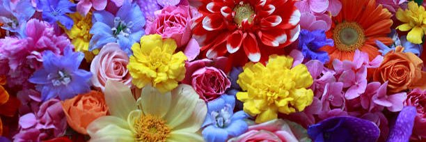 kahochibi607's profile banner image