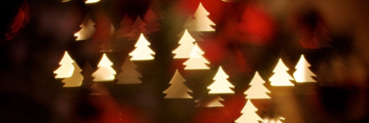 Constanza Enciso banner