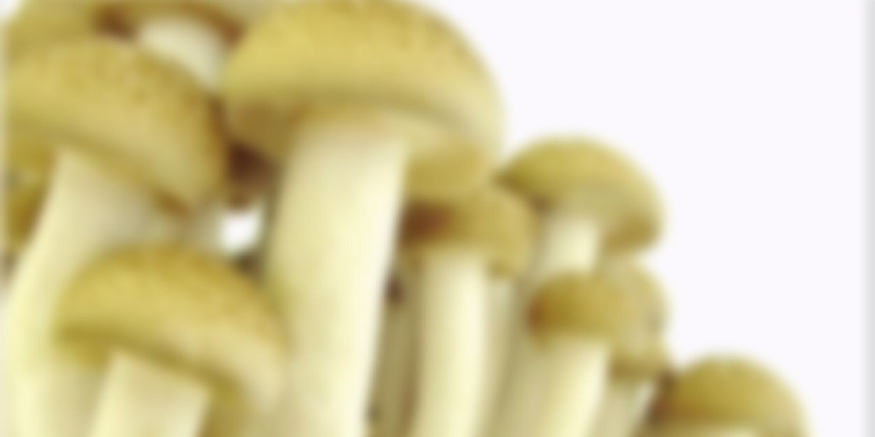 R_______753_'s profile banner image