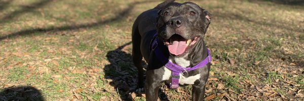 makemelaughsam Profile Banner