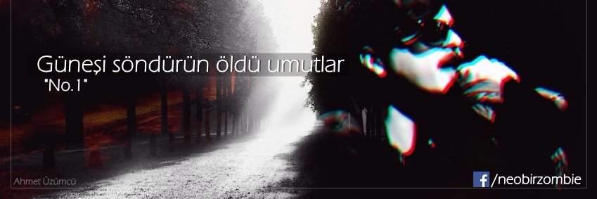 melankolimerve's profile banner image