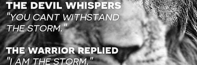mdwhite0909's profile banner image