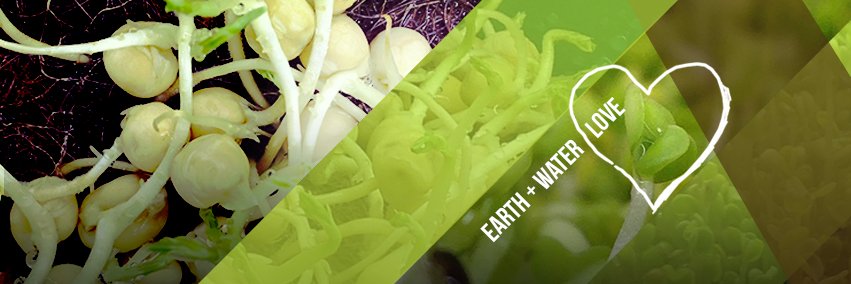 semerucogreen's profile banner image