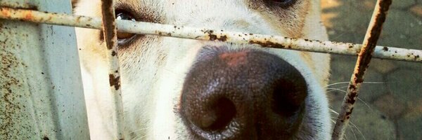 PPrinya Profile Banner