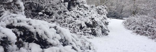 maryellenfield Profile Banner