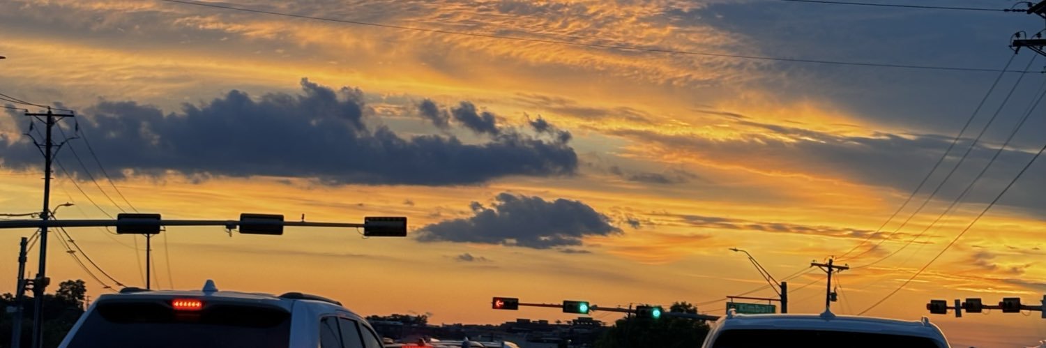 broccoliari's profile banner image