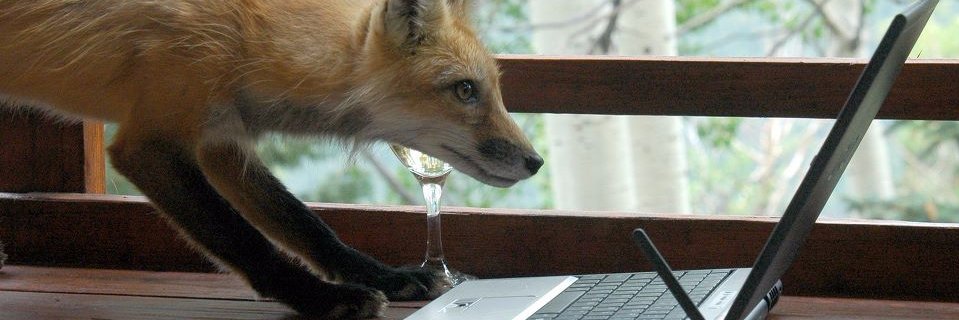 Wilmieeek's profile banner image