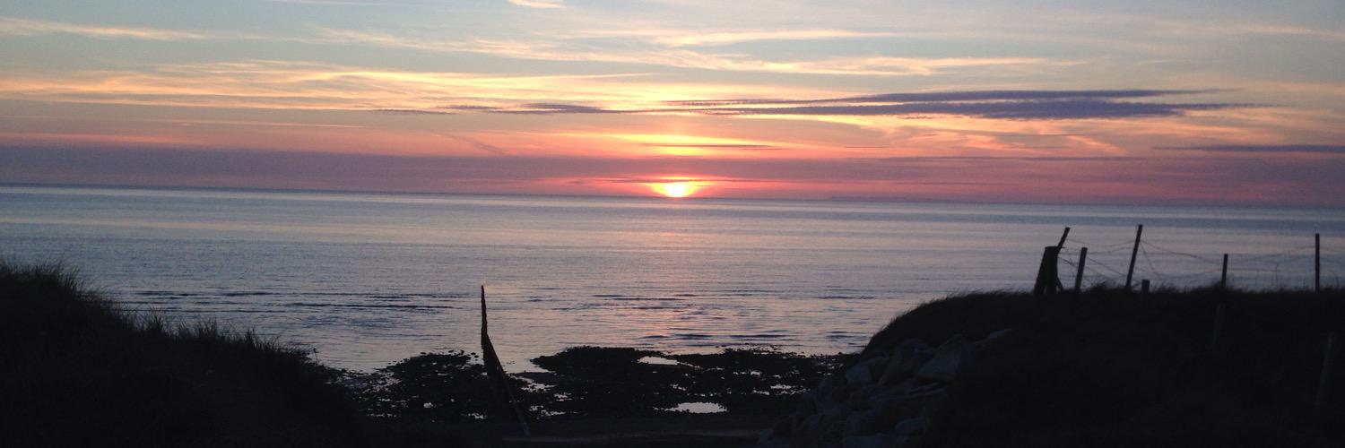 davidheyes's profile banner image