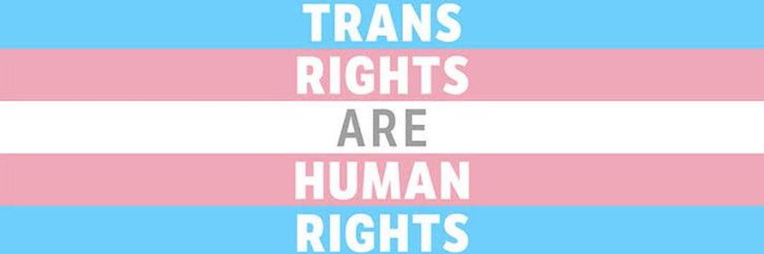 Steven 🏳️‍🌈 🏳️‍⚧️ 🇵🇸 banner