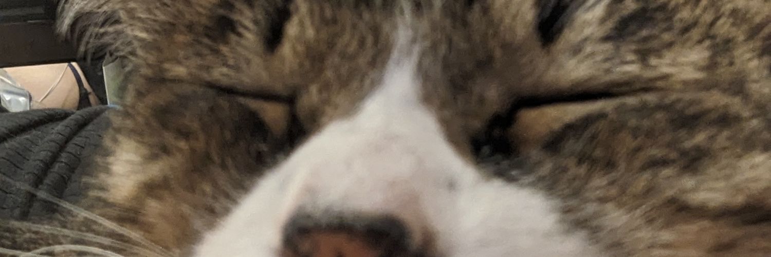 ginpoke_'s profile banner image