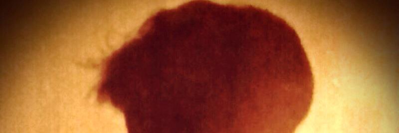 CVivesfierro's profile banner image