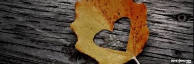 Heltoms's profile banner image