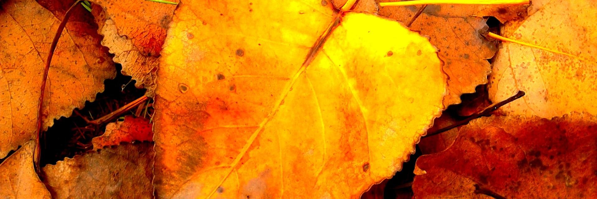 fernandres09's profile banner image