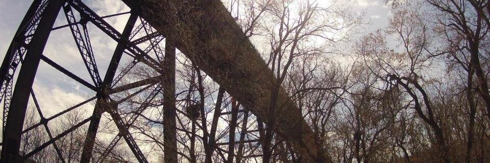 Mo Engel 🏳️‍🌈 banner