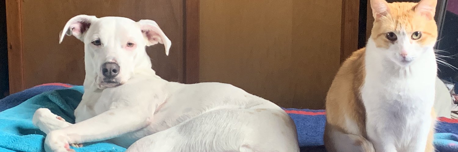 lisamaeeeee's profile banner image