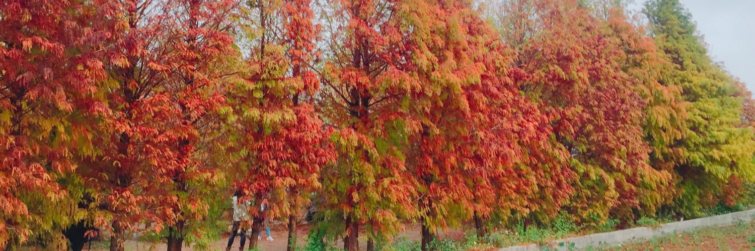 a0972251547's profile banner image