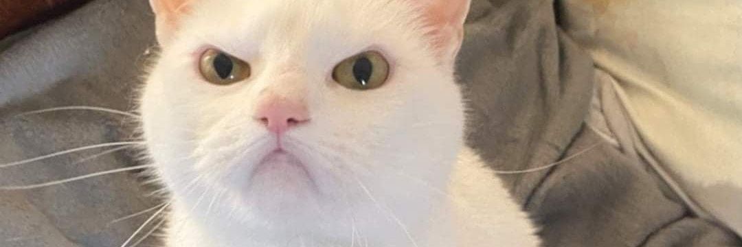 Ponsom_'s profile banner image