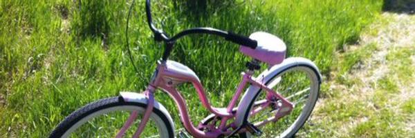 JustNotCricket Profile Banner