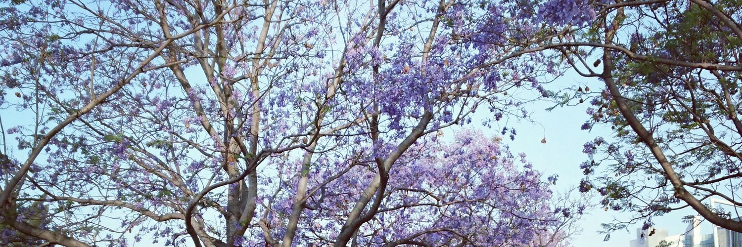 Mirettis's profile banner image
