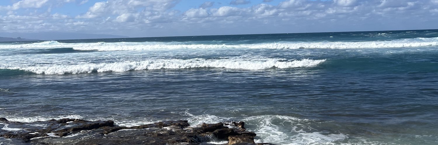 Anna Lee Adams banner