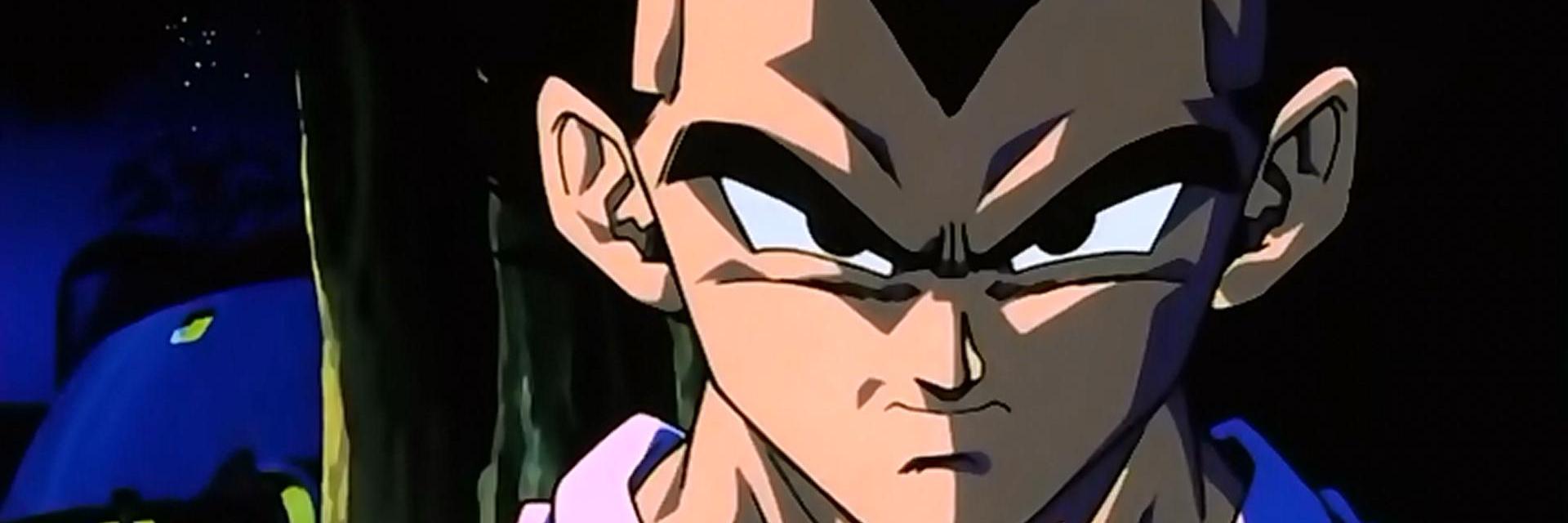 VegetaPutoAmo's profile banner image