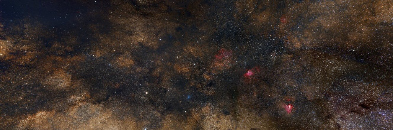 venadito2185's profile banner image