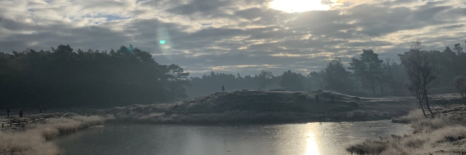 Boldekal's profile banner image
