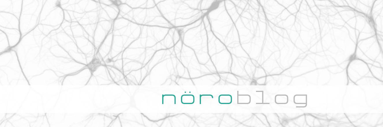 NoroBlog's profile banner image