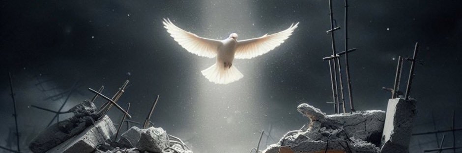 5stelletv's profile banner image