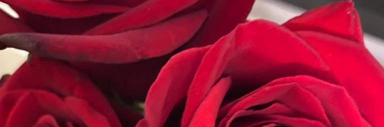 refiasalih's profile banner image