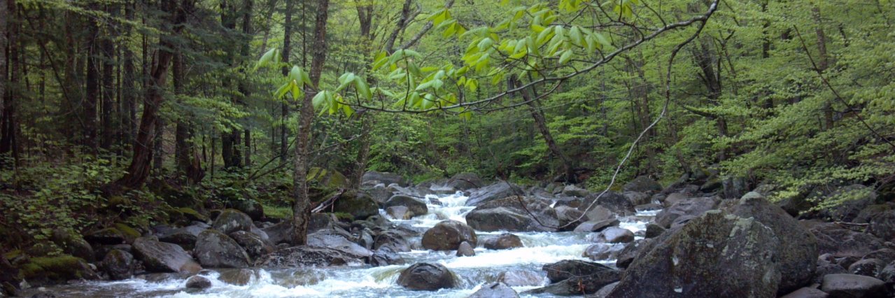 Hubbard Brook banner