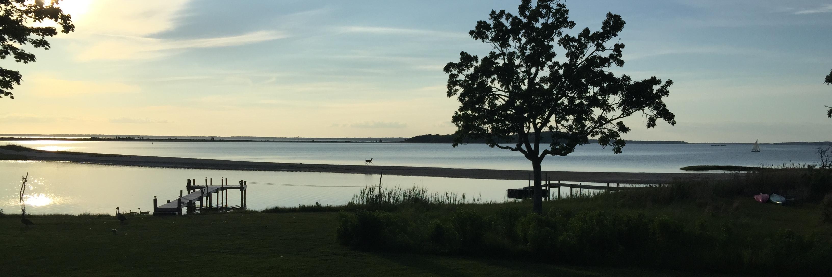 Philip Arkcoll banner