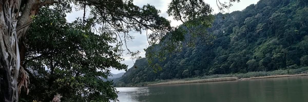 HashibiQubathi0's profile banner image