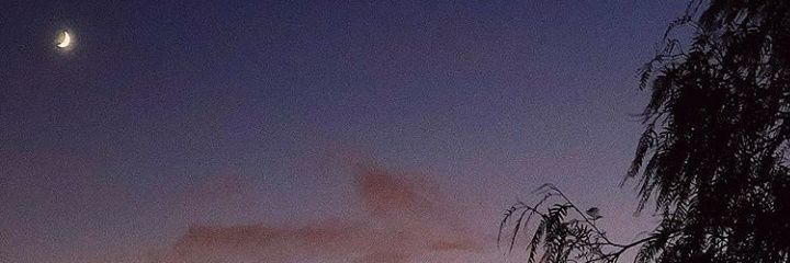 Tajaolhar's profile banner image