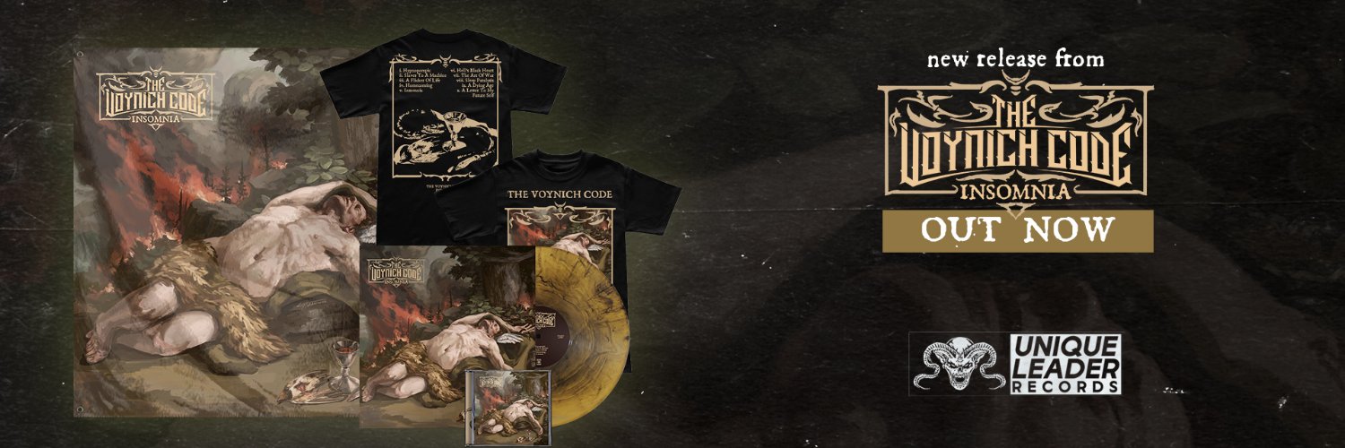 The Voynich Code banner