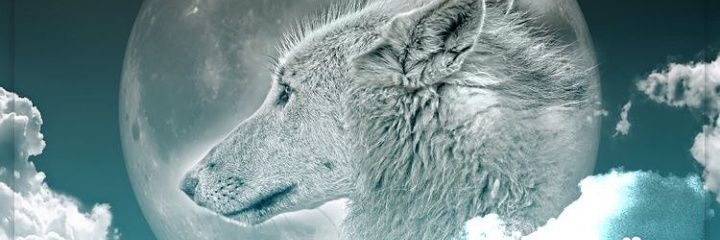 ZARKIMIN's profile banner image