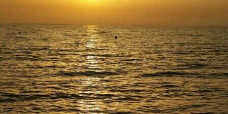 فهد القحطاني banner